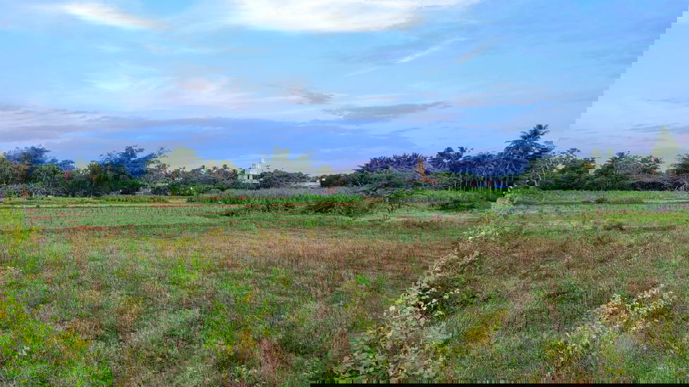 Aanaikoundan Kuchipalayam