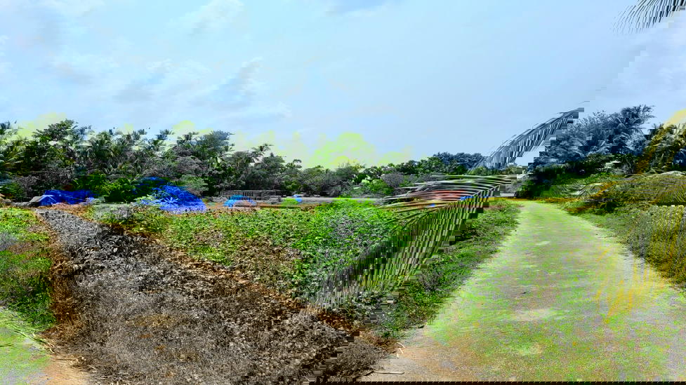 Sokkampalayam