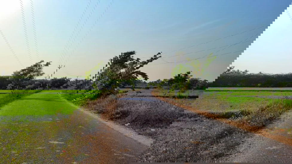 Way to Arasamangalam