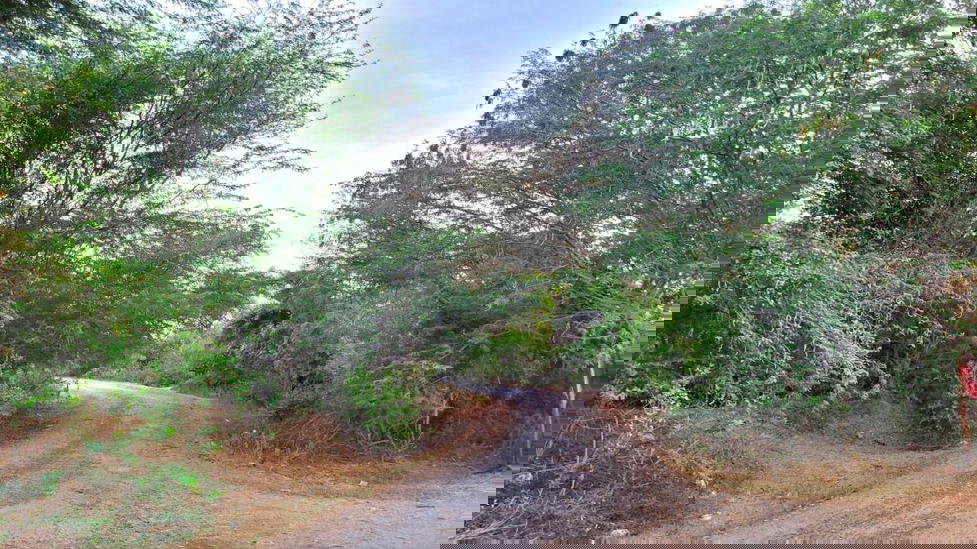 Way to Andipalayam, Sokkampalayam and V.Agaram Colony