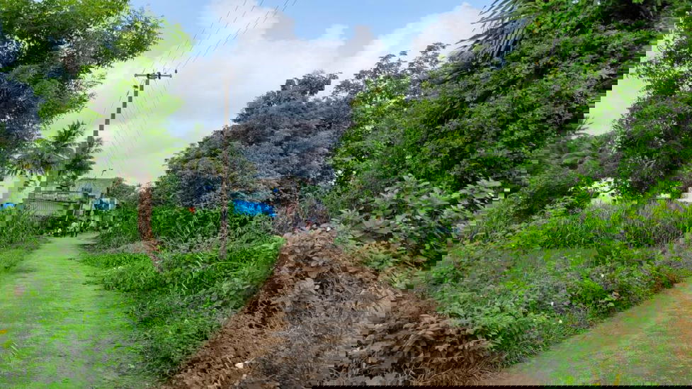 aanangooran kuchipalayam